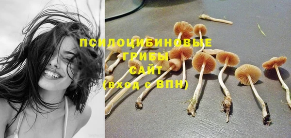 сатива Лагань