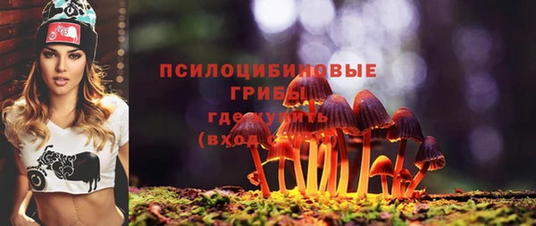 скорость Ладушкин