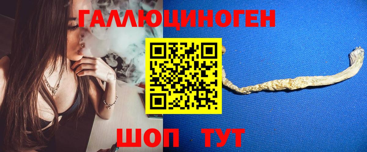 Тутаев  Галлюциногенные грибы Cubensis  Вход с VPN 